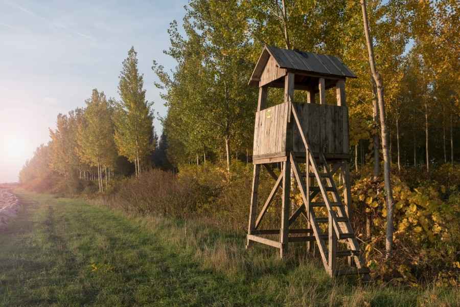 Gothaer Jäger-Schutzbrief: Jäger-Hochsitz im Wald